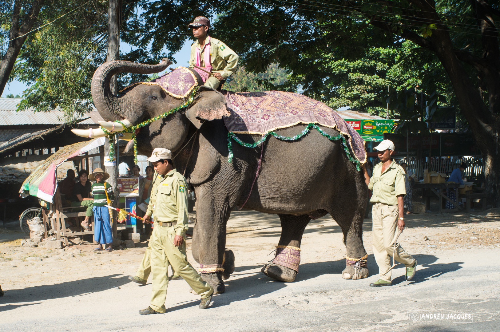 birmanie-161 (Grand).jpg